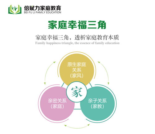 山东倍赋力教育 青少年一对一在线辅导咨询